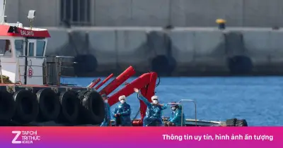 Truy dấu nguồn lây virus Hanta trên tàu du lịch MV Hondius