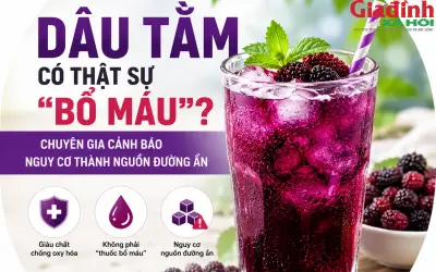 Đậu tằm có thực sự bổ máu? Chuyên gia cảnh báo nguy cơ thành 'ổ đường' nếu dùng sai cách