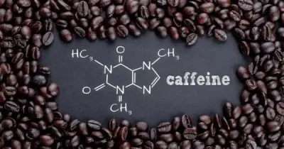 Vì sao caffeine bị kéo vào đường dây ma túy? Sự thật về chất kích thích quen thuộc