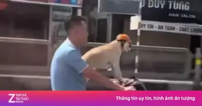 Video người đàn ông chở chó trên xe máy, bắt chó đội mũ bảo hiểm