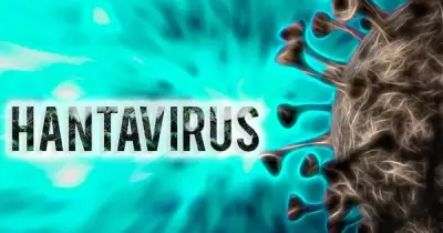 Virus Hanta gây 3 ca tử vong trên tàu du lịch, Bộ Y tế khuyến cáo khẩn