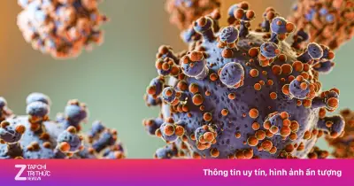 Virus Hanta nguy hiểm khiến 3 người tử vong, Bộ Y tế khuyến cáo khẩn