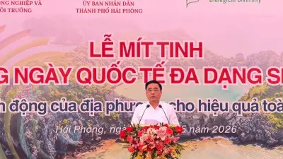 Việt Nam hành động địa phương vì đa dạng sinh học toàn cầu năm 2026