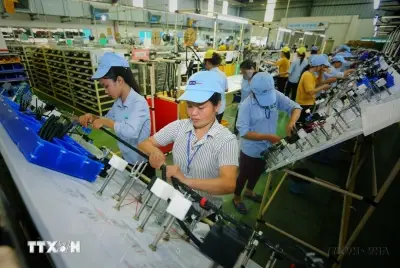 Việt Nam - Ấn Độ mở rộng không gian hợp tác thương mại trong giai đoạn mới