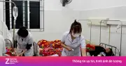 206 học sinh Lai Châu ngộ độc nghi do ăn quả lạ hái từ rừng