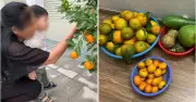 3 năm không về quê nghỉ lễ, nàng dâu hổ thẹn trước hành động của bố mẹ chồng U80