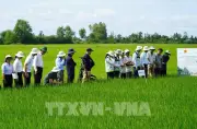 32 địa phương hoàn thành sắp xếp kiện toàn trung tâm khuyến nông cấp tỉnh