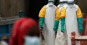 4 viện vệ sinh dịch tễ và 34 CDC họp khẩn về dịch Ebola do chủng Bundibugyo