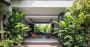 5 loại cây không nên trồng trước cửa nhà theo phong thủy