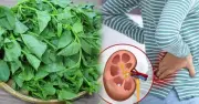 5 nhóm người không nên ăn rau mồng tơi kẻo rước họa