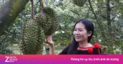 500 xe chở sầu riêng diễu hành tại Lễ hội Sầu riêng Đắk Lắk 2026