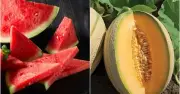 7 loại trái cây, rau củ bù nước, giải nhiệt cực tốt trong mùa hè