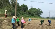 Đa dạng hóa truyền thông giúp Pa Tần thoát nghèo bền vững