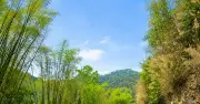 Đưa pháp luật đến phiên chợ vùng cao: Mô hình xóa nghèo thông tin hiệu quả
