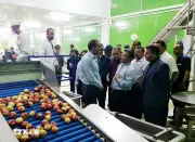 Algeria thúc đẩy ngoại giao kinh tế, mở rộng hợp tác quốc tế