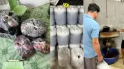 An Giang khởi tố cơ sở sản xuất cà phê bột giả từ bắp và đậu nành