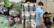 An Giang khởi tố đối tượng sản xuất 10 tấn cà phê giả từ bắp và đậu nành