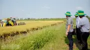 An Giang: Phát hiện loạt sai phạm kéo dài gần 40 năm trong quản lý đất đai tại xã Đông Hòa