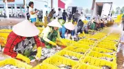 An Giang quyết tâm gỡ thẻ vàng IUU với giải pháp đồng bộ, công nghệ eCDT