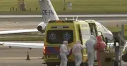 Argentina gửi vật liệu di truyền virus Andes hỗ trợ truy vết, nhiều nước lo ngại