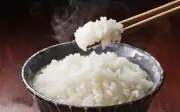 Bỏ cơm giảm cân: Nguy cơ gan nhiễm mỡ và giảm tuổi thọ