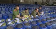 Bộ Công an đề xuất tăng nặng hình phạt tội phạm thực phẩm bẩn