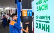 Bộ Công Thương: 3 doanh nghiệp được cấp phép phối trộn xăng sinh học, 10 doanh nghiệp chờ cấp phép