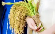 Bó hoa cưới làm từ lúa chín gây sốt mạng xã hội