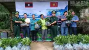Bộ đội Biên phòng Sơn La tặng cây cà phê cho dân Lào