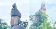 Bí ẩn chồng đá cao 30m giống hình tượng Phật ở Gia Lai