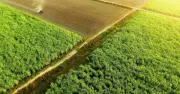 Bà Đặng Huỳnh Ức My đăng ký mua 43 triệu cổ phiếu, TTC AgriS tái cơ cấu danh mục