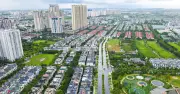 Bà nội mất không di chúc, cháu đích tôn tự kê khai sổ đỏ gần 800m2