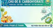 Bí quyết ôn thi THPT 2026 môn Hóa: Chuyên đề 8 - Carbohydrate