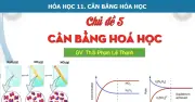 Bí quyết ôn thi tốt nghiệp THPT 2026 môn Hóa: Cân bằng hóa học