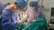 Bé trai bị dao đâm vào đầu do anh vô tình gây thương tích