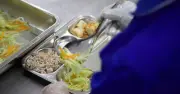 Bữa ăn bán trú: Lỗ hổng trách nhiệm và giải pháp quản lý