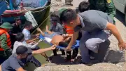 Biên phòng Sầm Sơn kịp thời cứu ngư dân bị tai nạn trên biển