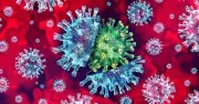 Biến thể K của cúm A/H3N2 lan rộng, vaccine cập nhật đã có tại Việt Nam