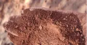 Bún có thể là chìa khóa trong cuộc đua vũ trang siêu vượt âm