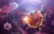 Bệnh do virus Hanta: Nguy cơ lây nhiễm và biện pháp phòng tránh