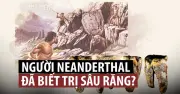 Bất ngờ mới từ người Neanderthal: Phát hiện gene ảnh hưởng sức khỏe người hiện đại