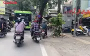 Bất ngờ trước giá tòa chung cư mini Trúc Đường, Hoàng Hoa Thám khi tuyến đường sắt đô thị số 5 khởi động