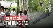 Bất ngờ với khu rừng nguyên sơ ngay tại TPHCM