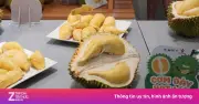 Buffet sầu riêng gây sốt ở TP.HCM: 400 khách, 3 tấn sầu riêng trong 2 ngày cuối tuần