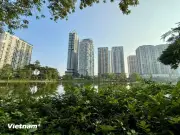 Cơ chế chính sách đặc thù để xử lý vi phạm pháp luật về đất đai