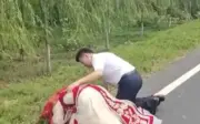 Cô dâu Từ Châu khóc nức nở bên mộ cha trong ngày cưới