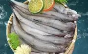 Cá khoai – đặc sản biển thơm ngon, bổ dưỡng và cách chế biến hấp dẫn