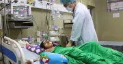 Cà Mau: Bé gái 10 tuổi nguy kịch vì bị ong vò vẽ đốt hơn 70 vết