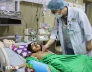 Cà Mau: Cứu thành công bé gái bị ong vò vẽ đốt hơn 70 vết