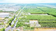 Cà Mau kiến tạo vùng quê nông thôn mới đáng sống, bền vững